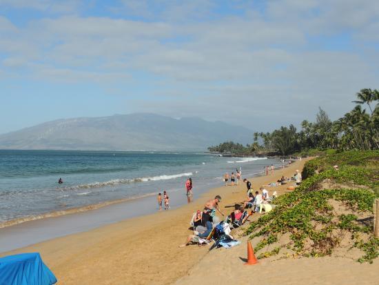 Amazing Kihei Kai Nani - Maui Vista One Bedroom Condos Bagian luar foto
